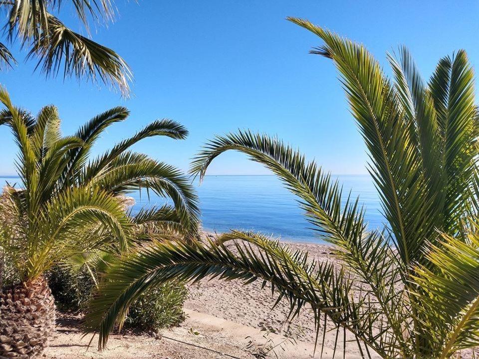 Ola Laguna Beach Vera Playa Exteriör bild